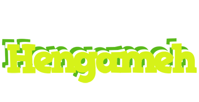 Hengameh citrus logo