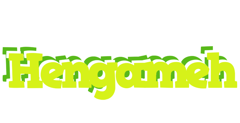Hengameh citrus logo
