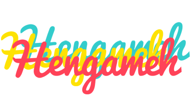 Hengameh disco logo