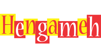 Hengameh errors logo