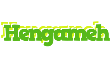 Hengameh picnic logo