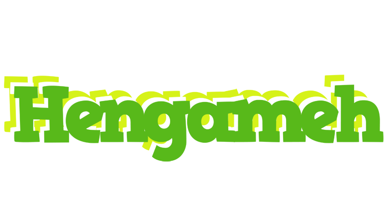 Hengameh picnic logo