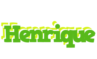 Henrique picnic logo