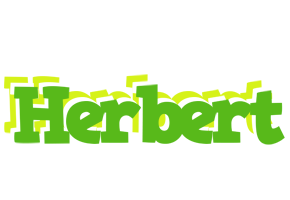 Herbert picnic logo