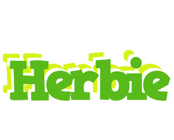 Herbie picnic logo