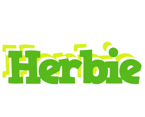 Herbie picnic logo