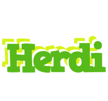 Herdi picnic logo