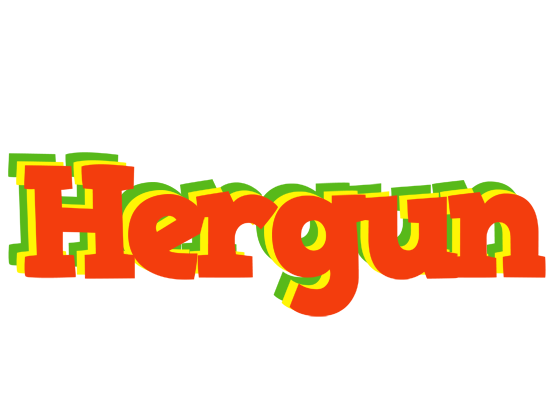 Hergun bbq logo