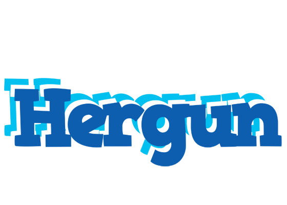 Hergun business logo