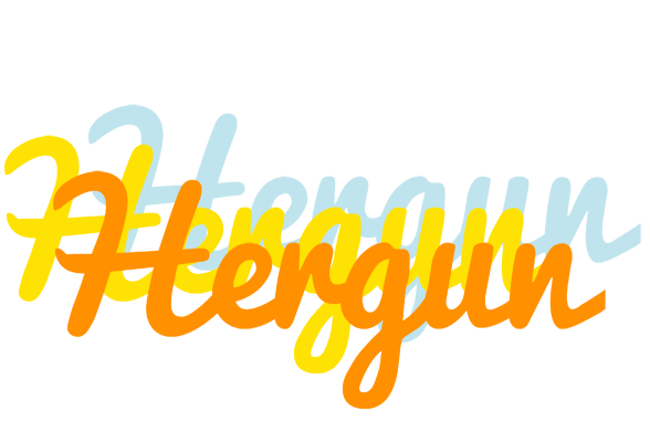 Hergun energy logo