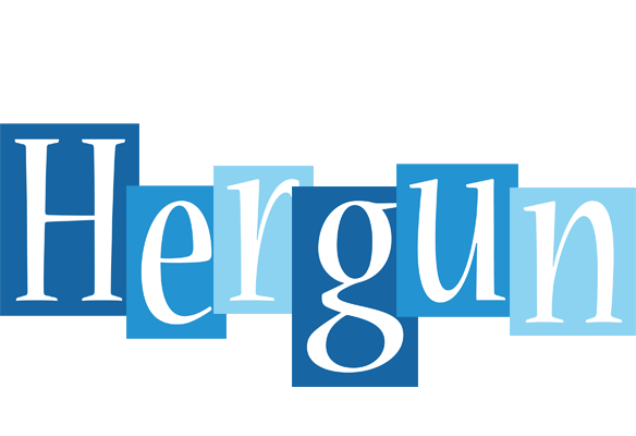 Hergun winter logo