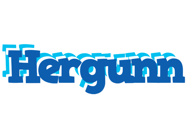Hergunn business logo