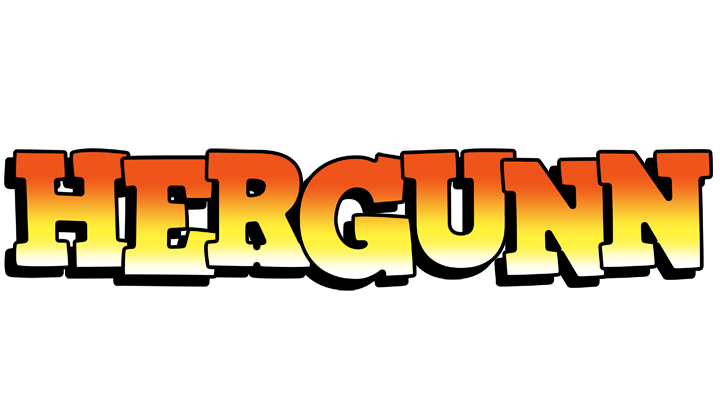 Hergunn sunset logo