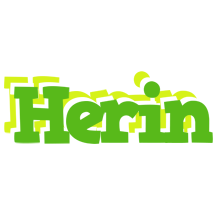 Herin picnic logo