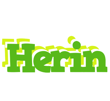 Herin picnic logo