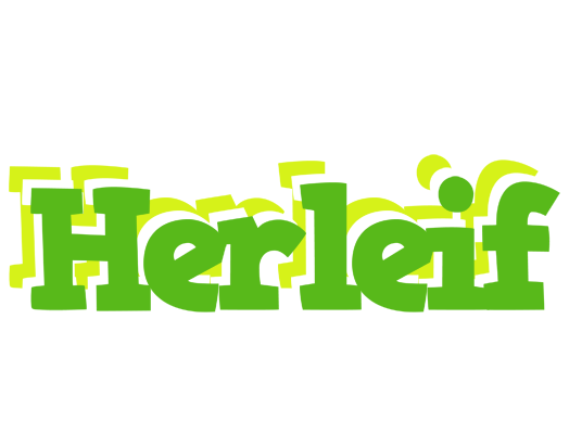 Herleif picnic logo