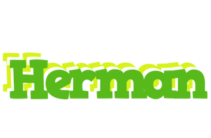 Herman picnic logo