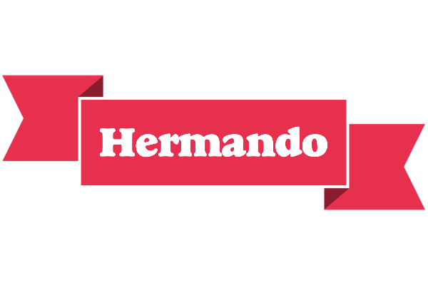 Hermando sale logo