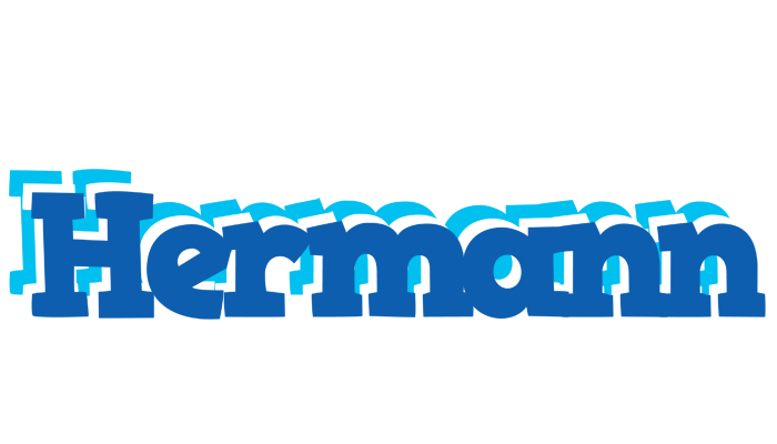 Hermann business logo