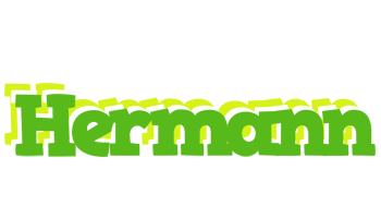 Hermann picnic logo