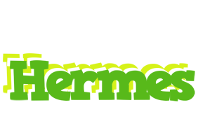 Hermes picnic logo