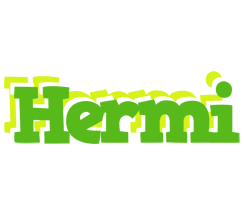 Hermi picnic logo