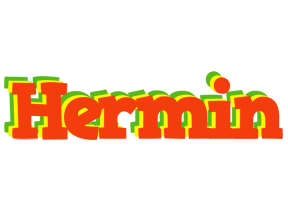Hermin bbq logo