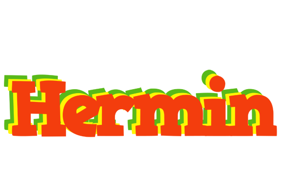 Hermin bbq logo
