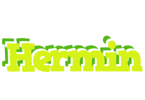 Hermin citrus logo
