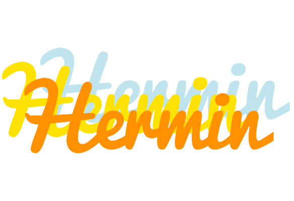 Hermin energy logo