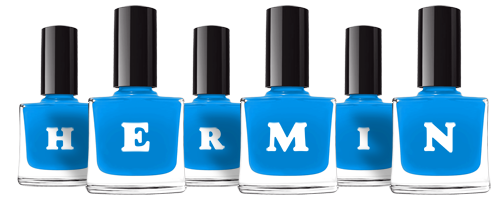 Hermin glossy logo