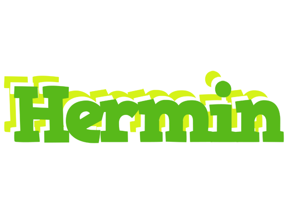 Hermin picnic logo