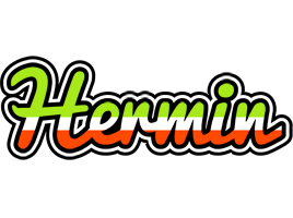 Hermin superfun logo