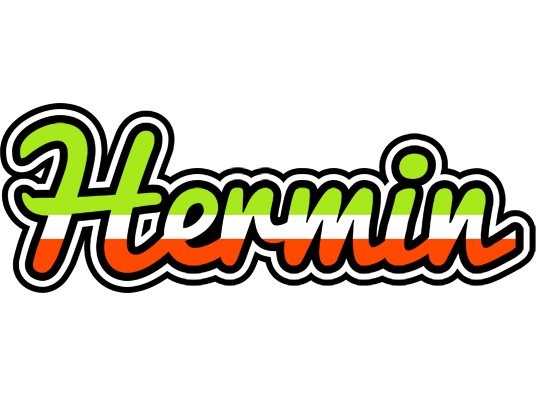 Hermin superfun logo