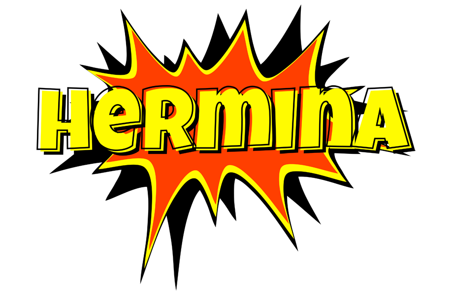 Hermina bazinga logo