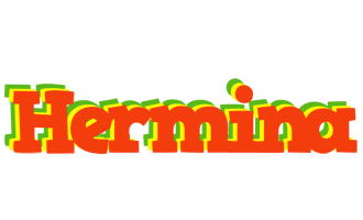 Hermina bbq logo