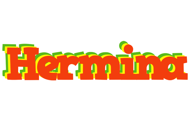 Hermina bbq logo