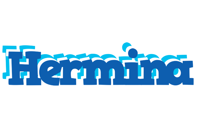 Hermina business logo