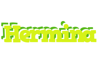 Hermina citrus logo