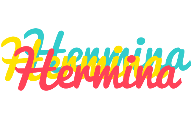 Hermina disco logo