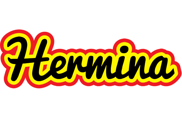 Hermina flaming logo