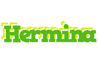 Hermina picnic logo