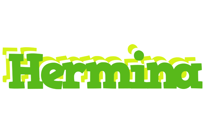 Hermina picnic logo
