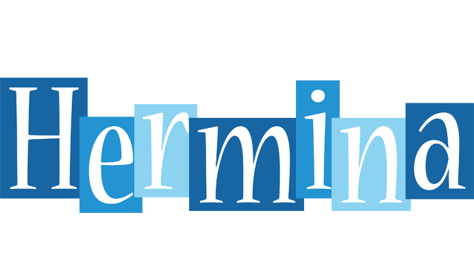 Hermina winter logo