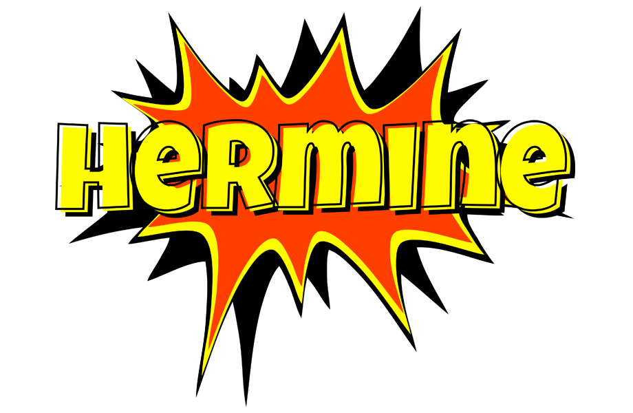 Hermine bazinga logo