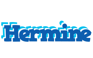 Hermine business logo