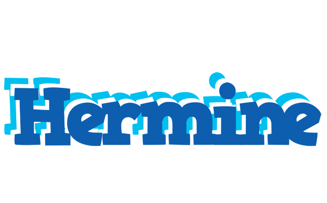 Hermine business logo