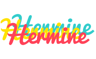 Hermine disco logo