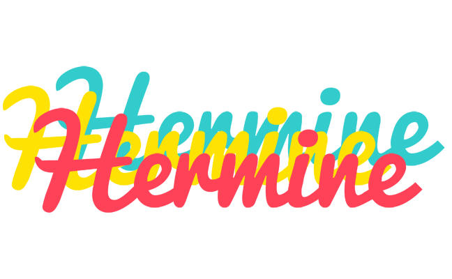Hermine disco logo
