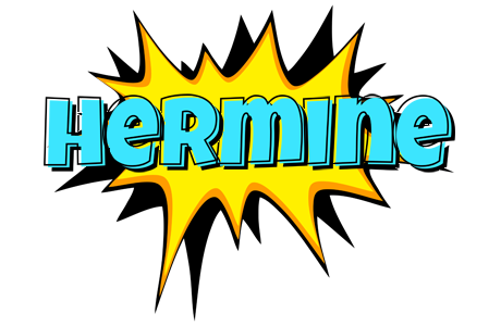 Hermine indycar logo
